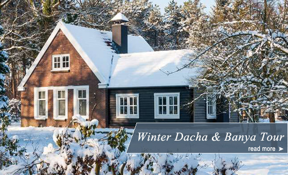 Winter dacha&banya tour